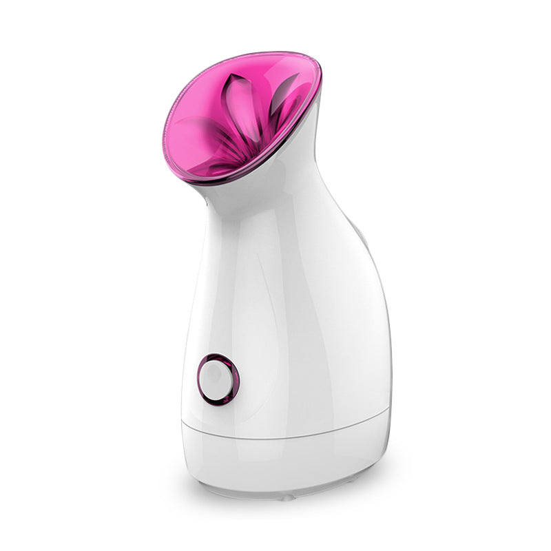 facial steamer, facial steamer best, facial steamer mini for face and facial steamer ionic